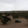 Little Sahara Sand Dunes