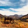 Thousand Peaks Ranch - Summer