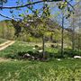 Thousand Peaks Ranch - Summer