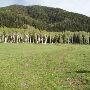 Thousand Peaks Ranch - Summer