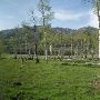 Thousand Peaks Ranch - Summer