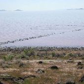 Spiral Jetty