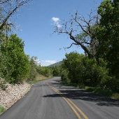 South Fork Road
