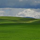 Blue Creek Valley
