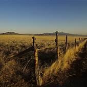 Cedar Valley