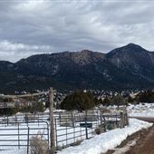 Pine Valley Winter