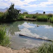 Jordan River Parkway Trailhead/Hot Springs