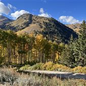 Albion Basin- Fall