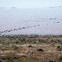 Spiral Jetty