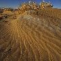 Little Sahara Sand Dunes