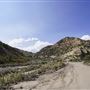 Spring Canyon Road