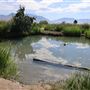 Jordan River Parkway Trailhead/Hot Springs