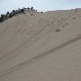Little Sahara Sand Dunes