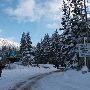 Snowbird Ski and Summer Resort - Winter