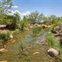 Red Hills Desert Garden