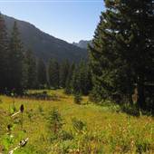 Alta Area