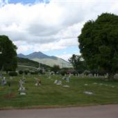 Midway Cemetery Summer