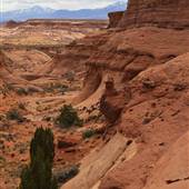 Robber's Roost