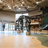 Utah Field House of Natural History State Park Museum