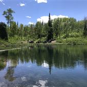 Twelve Mile Canyon