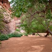 Moonflower Canyon and Campground