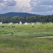 Pinyon Ridge Ranch