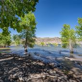 Piute State Park