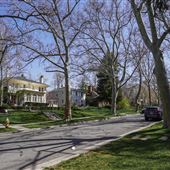 3rd Avenue Neighborhood