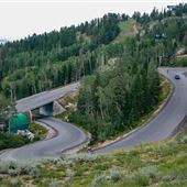 Highway 224- Guardsman Pass Summer