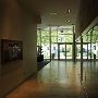 Westminster University