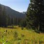 Alta Area