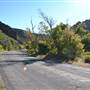 Ophir Canyon Road