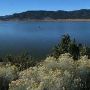 Panguitch Lake