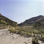 Spring Canyon Road