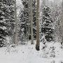 Snowbird Ski and Summer Resort - Winter
