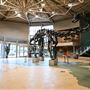Utah Field House of Natural History State Park Museum