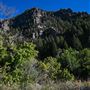 Logan Canyon