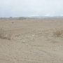 Little Sahara Sand Dunes