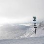 Snowbird Ski and Summer Resort - Winter