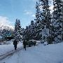Snowbird Ski and Summer Resort - Winter