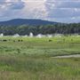 Pinyon Ridge Ranch
