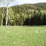 Thousand Peaks Ranch - Summer