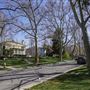 3rd Avenue Neighborhood
