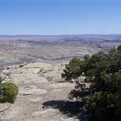 Miller Canyon