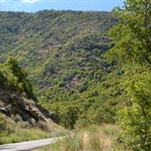 Farmington Canyon