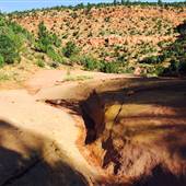 Dry Canyon