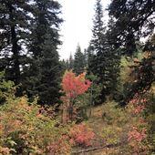 Big Mountain Ranch