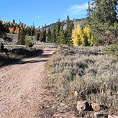 FR 011 by Beaver Mountain