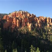 Stout Canyon