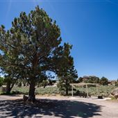Honeycomb Rocks Campground